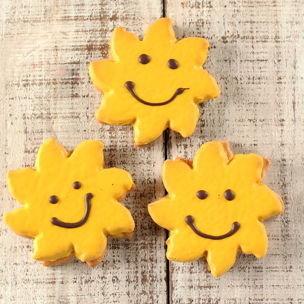 Sonnenschein